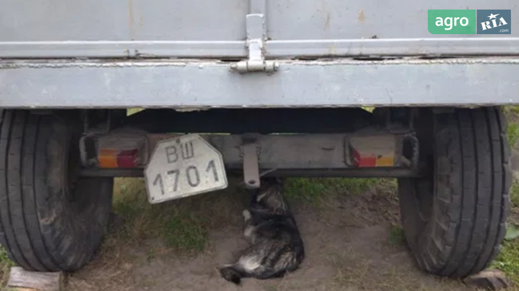 Причіп Саморобний   1991 - фото 1