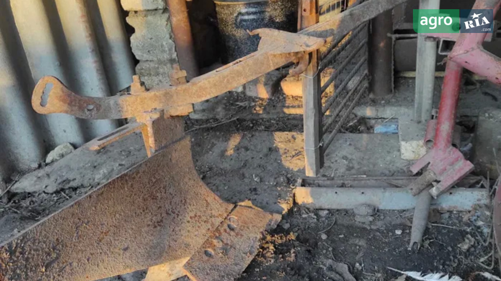 Плуг Саморобний   1980 - фото 1