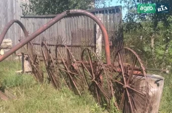 Граблі Саморобні   1990 - фото