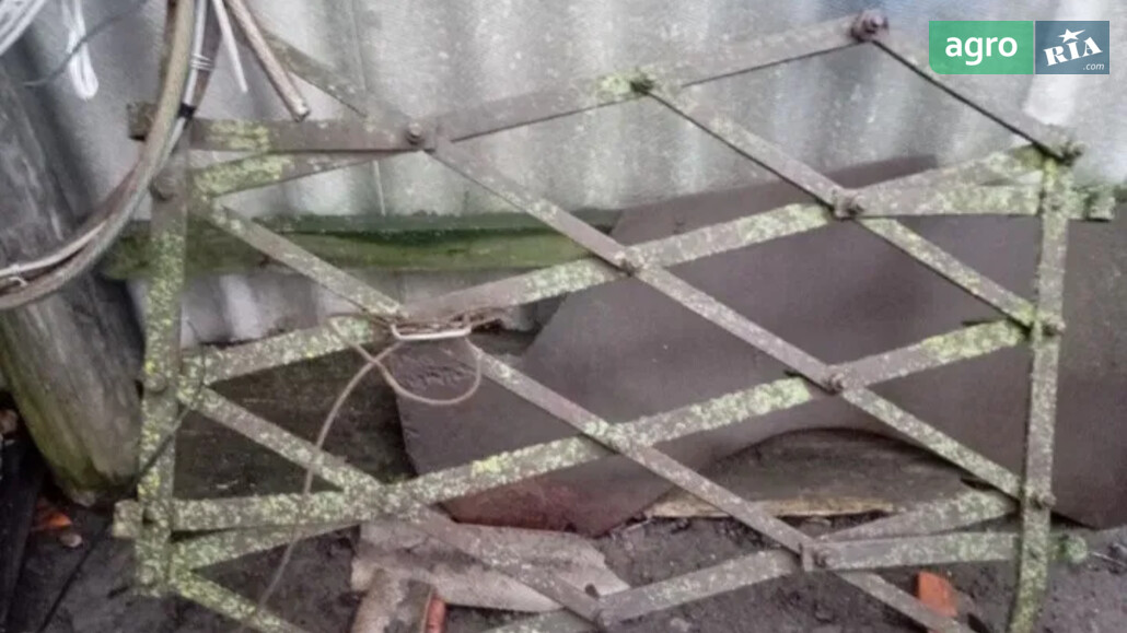 Борона Саморобна   1999 - фото 1