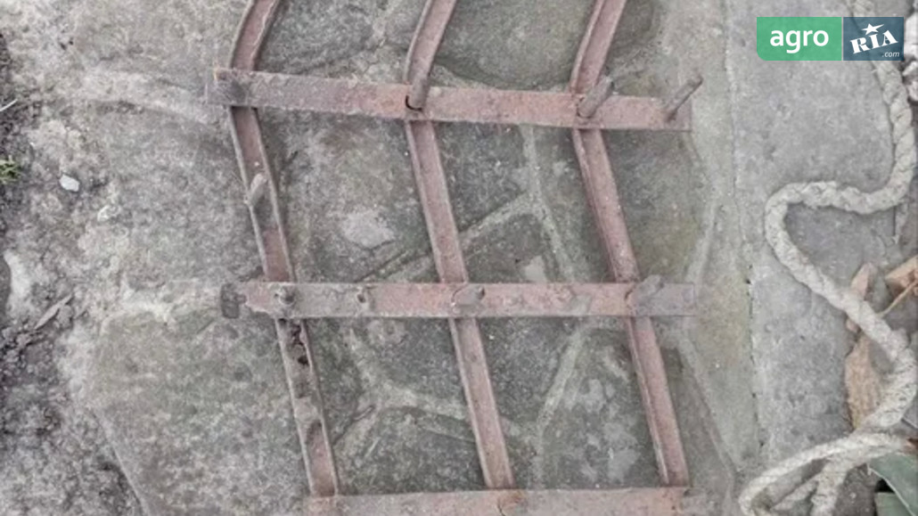 Борона Саморобна   1989 - фото 1