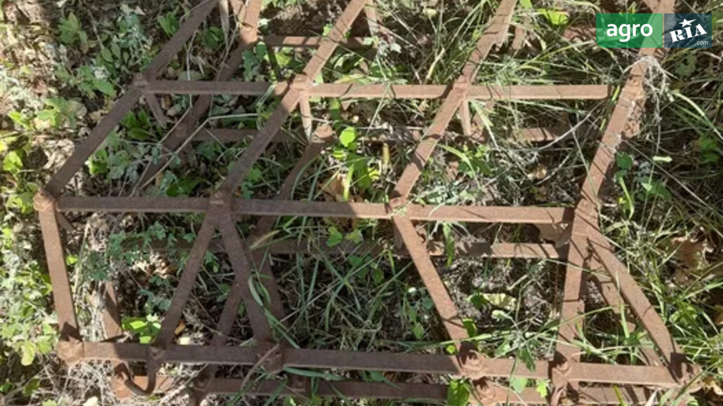 Борона Саморобна   1985 - фото 1