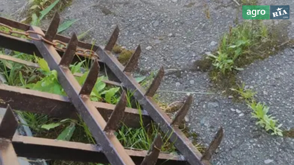 Борона Саморобна   2017 - фото 1