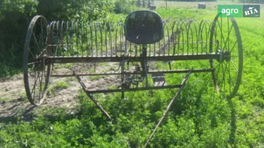 Граблі Саморобні   1975 - фото 1