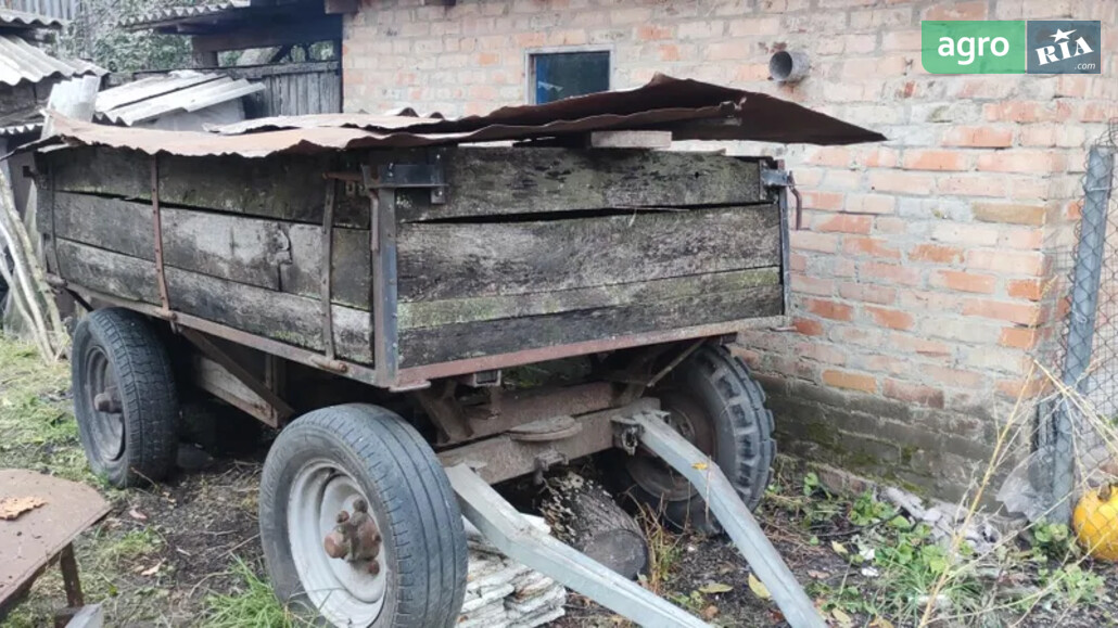 Візок Саморобний   2010 - фото 1