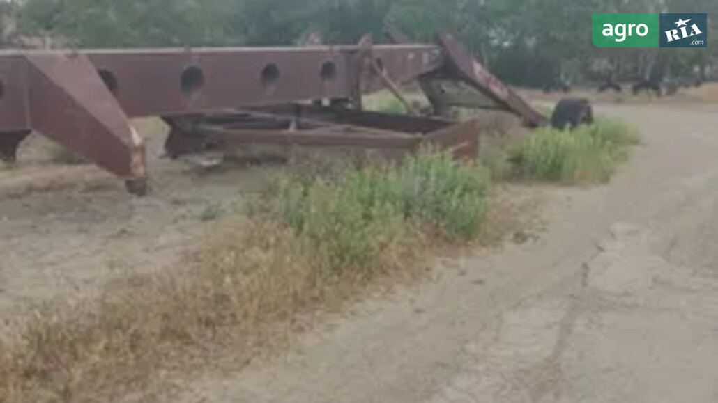 Планувальник Саморобний   1975 - фото 1