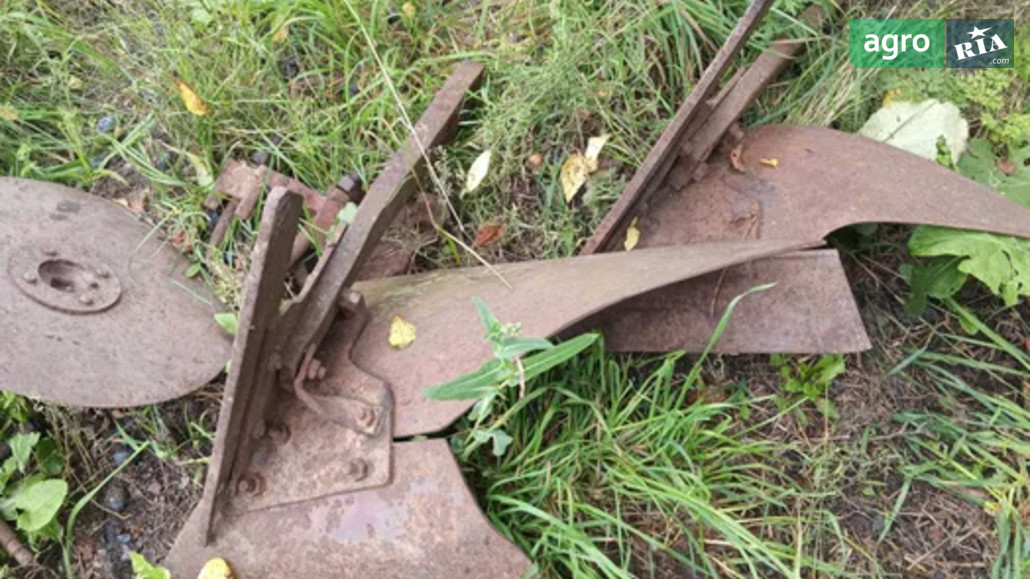 Плуг Саморобний   1993 - фото 1