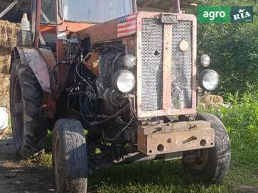 Самодельный   2021 - фото