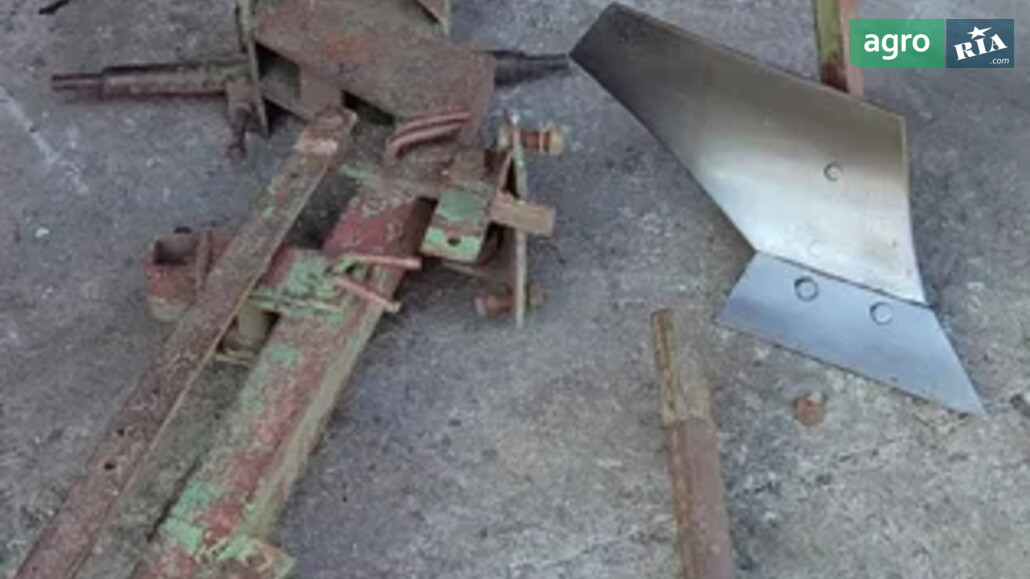 Плуг Саморобний   2010 - фото 1