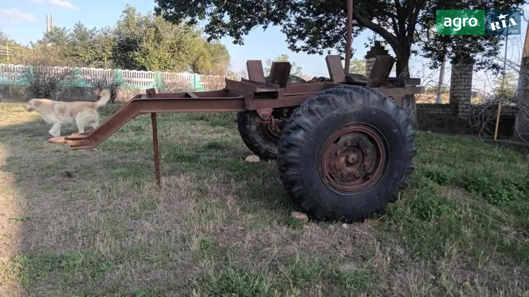 Візок Саморобний   2010 - фото 1