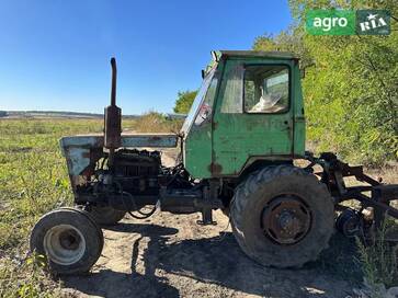 Самодельный   2010 - фото