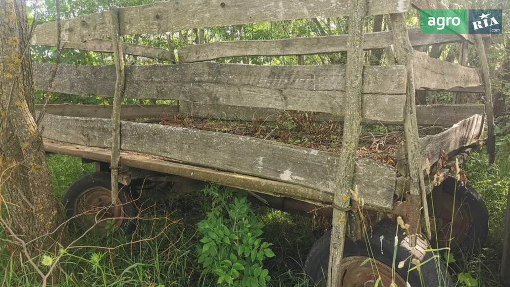 Візок Саморобний   2008 - фото 1