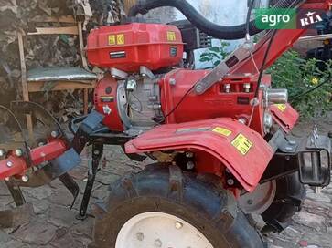 Саморобний   2024 - фото