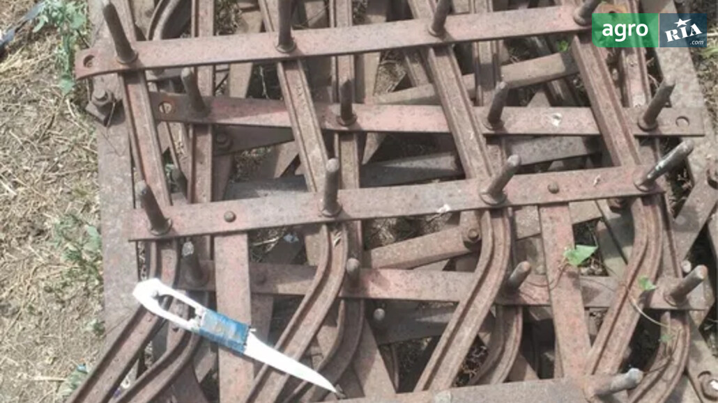 Борона Саморобна   2010 - фото 1