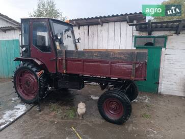 Самодельный   2013 - фото