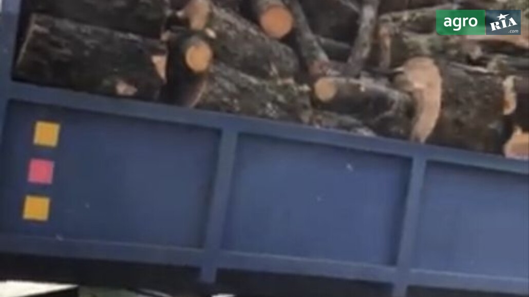 Трактор Саморобний   2015 - фото 1