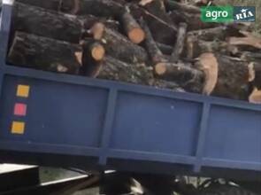 Трактор Саморобний   2015