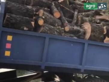 Саморобний   2015 - фото