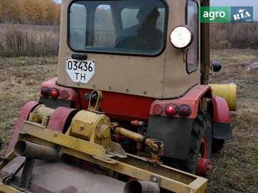 Саморобна   2000 - фото