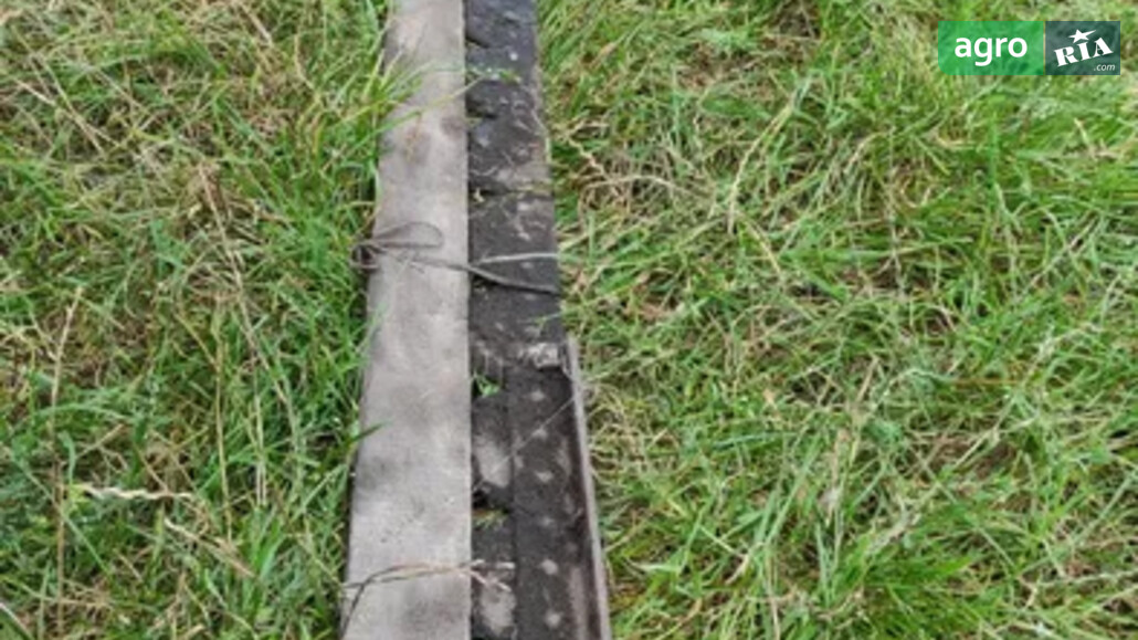 Косарка Саморобна    - фото 1