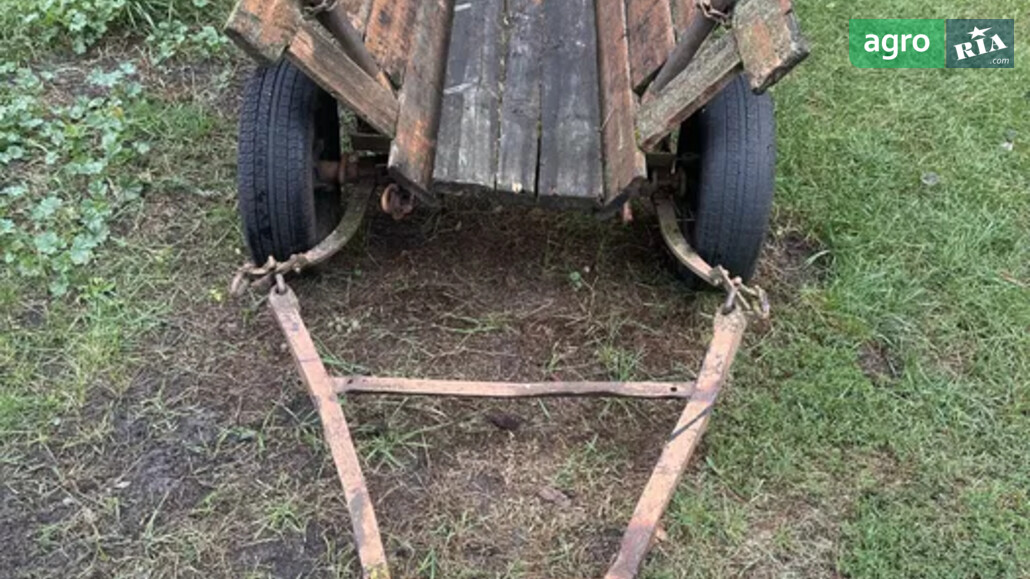 Візок Саморобний   2010 - фото 1