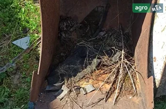 Ковш Саморобний    - фото