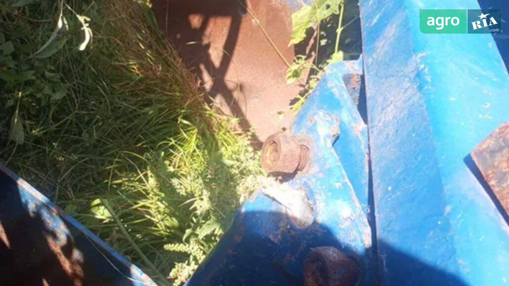 Плуг Саморобний   2017 - фото 1