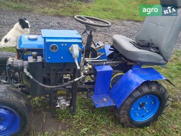 Саморобний   2022 - фото