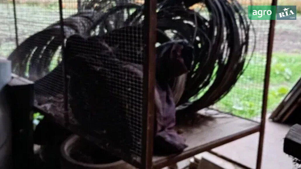 Зерносушарка Саморобна    - фото 1