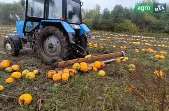 Валкователь Саморобний   2024 - фото