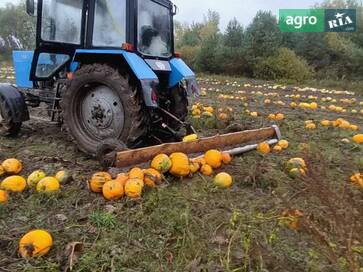 Саморобний   2024 - фото