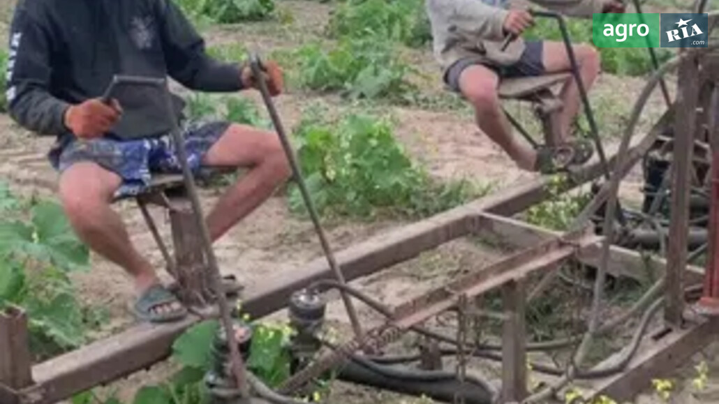 Культиватор Самодельный    - фото 1