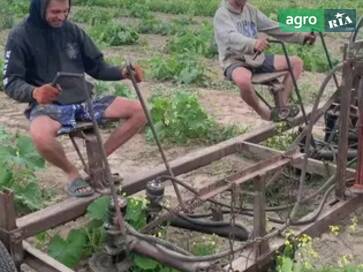 Самодельный    - фото