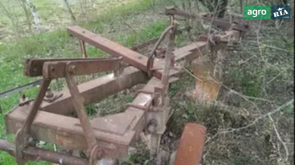 Плуг Саморобний   2010 - фото 1