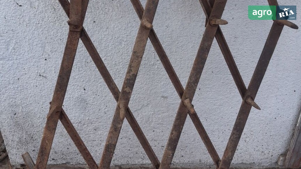 Борона Саморобна   1980 - фото 1