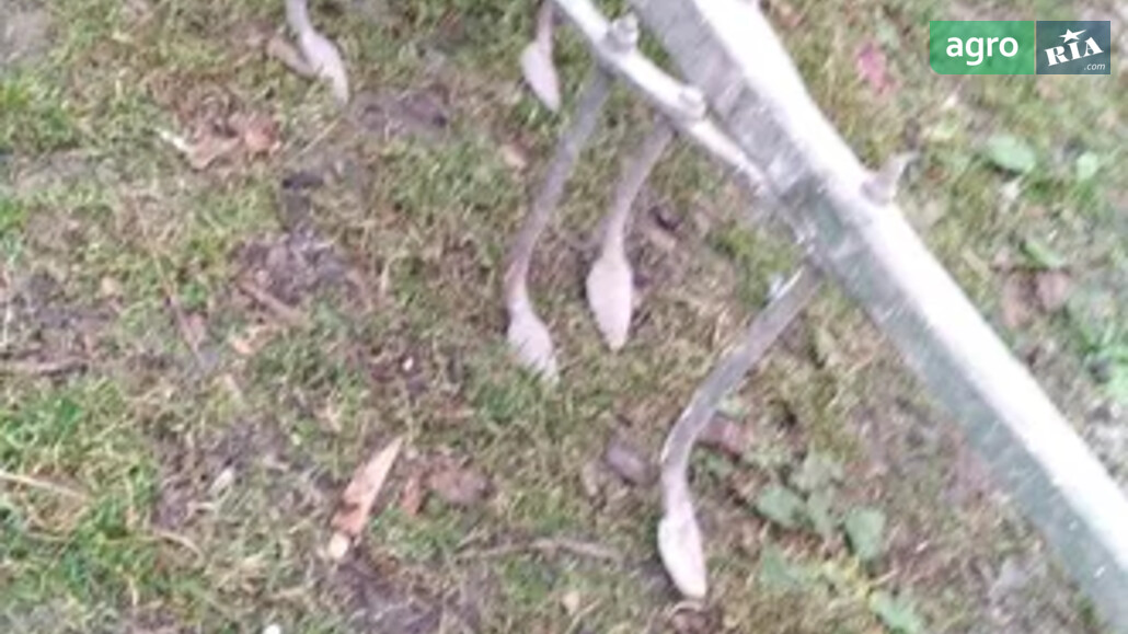 Культиватор Саморобний    - фото 1