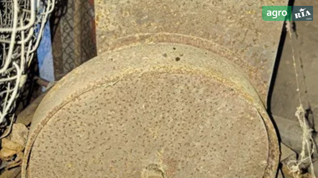 Измельчитель Самодельный    - фото 1