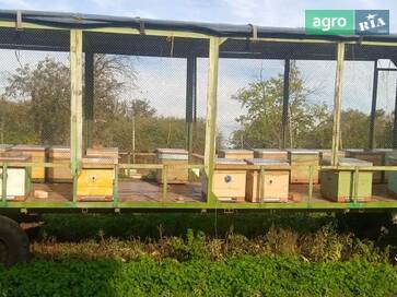 Самодельный    - фото