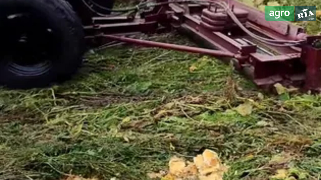 Підгортальник Саморобний   2023 - фото 1