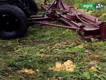 Самодельный   2023 - фото