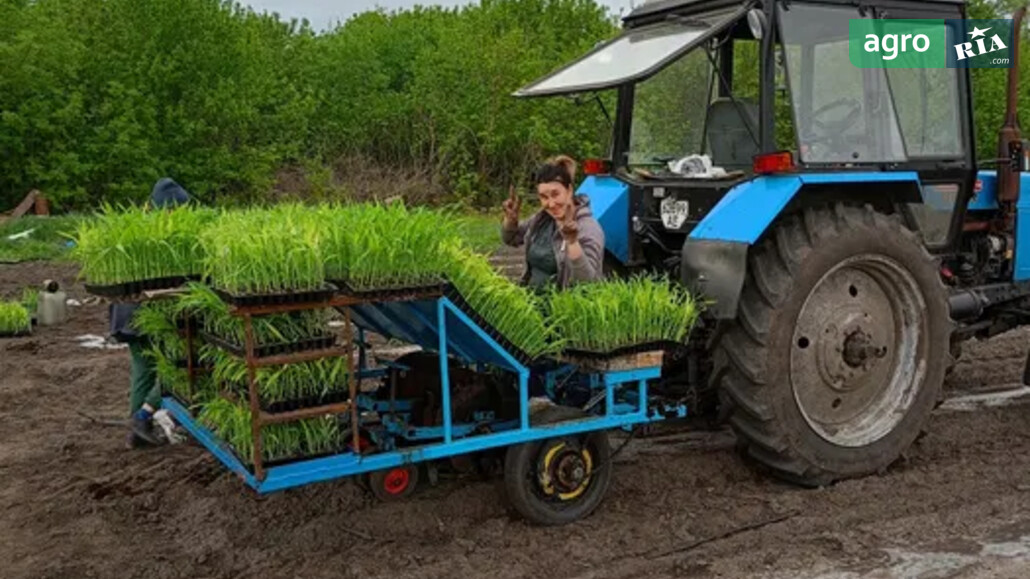 Рассадосадочная машина Самодельная   2025 - фото 1