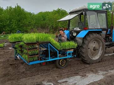 Саморобна   2025 - фото