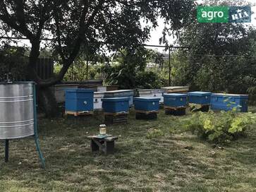 Саморобна    - фото