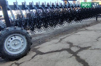 Борона Саморобна   2025 - фото