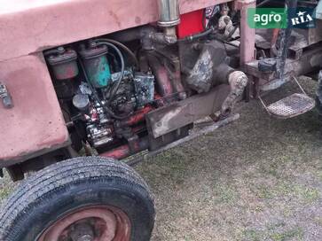 Саморобний   2020 - фото