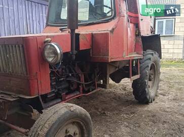 Саморобний   2010 - фото