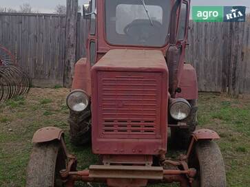 Саморобний   1987 - фото