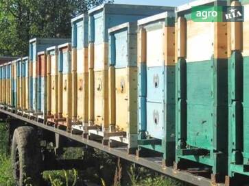 Саморобний    - фото