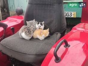 Мінітрактор Синтай (XINGTAI) XT 244 2017