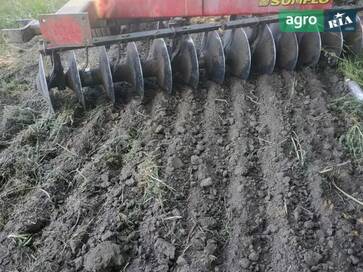 Sunflower 1544  - фото